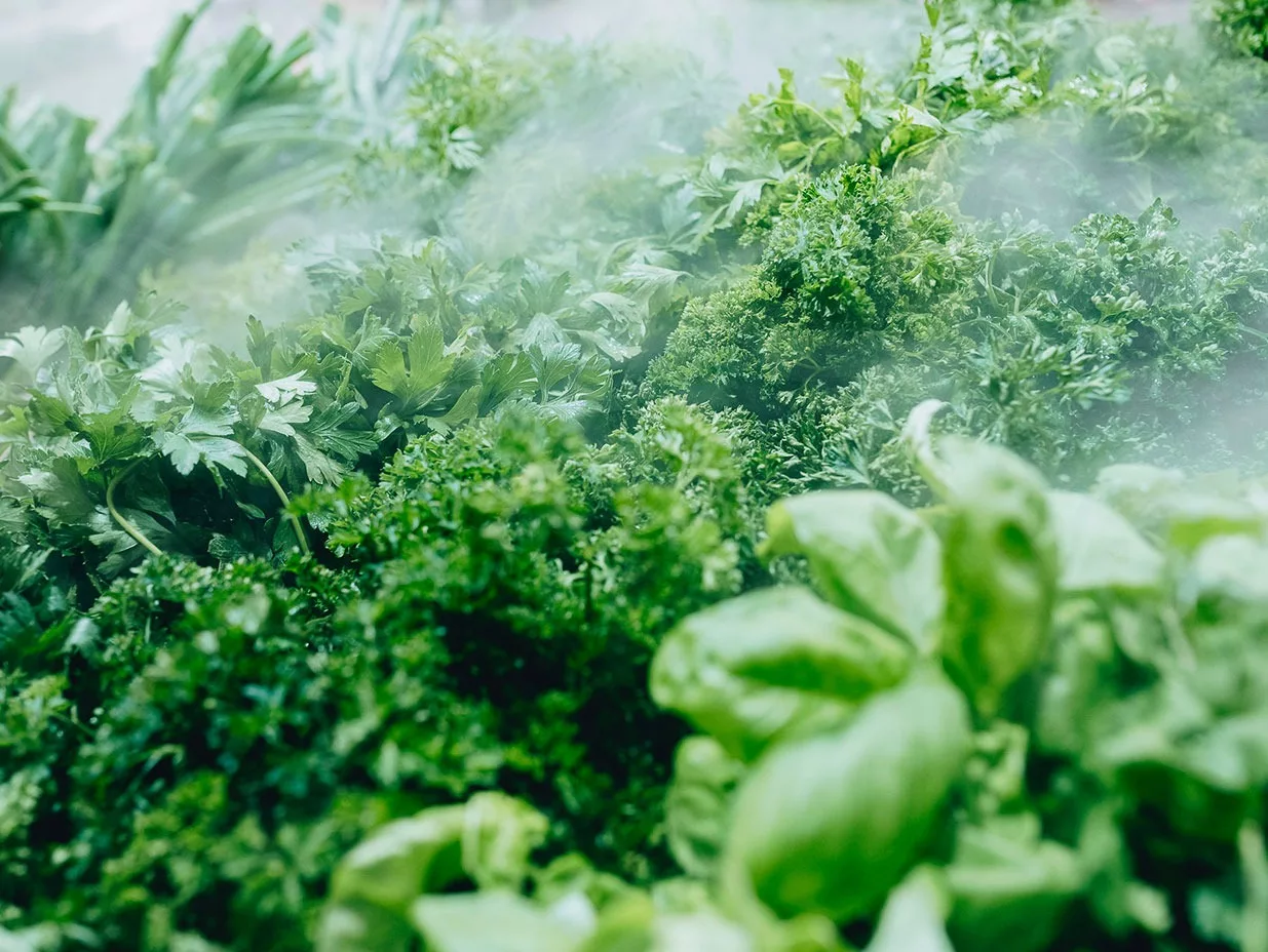 cerise-potiron-produit-1