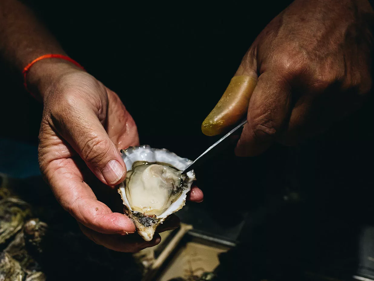 chez-antonin-produit