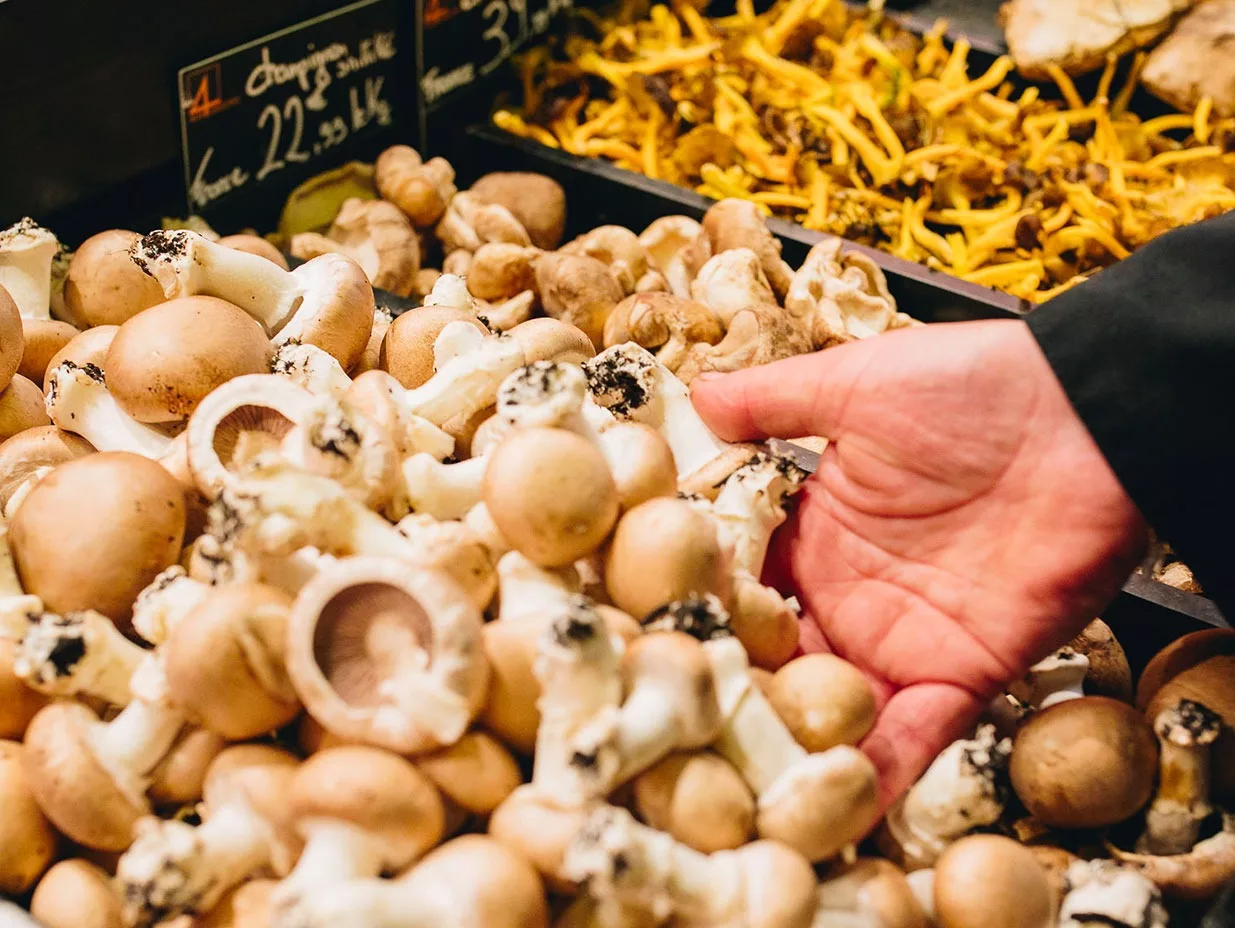 les-4-saisons-produit