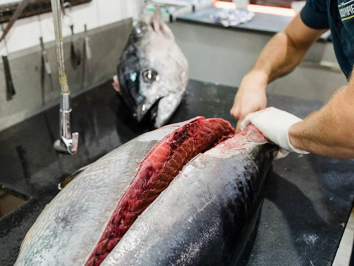 maison-pupier-produit-2