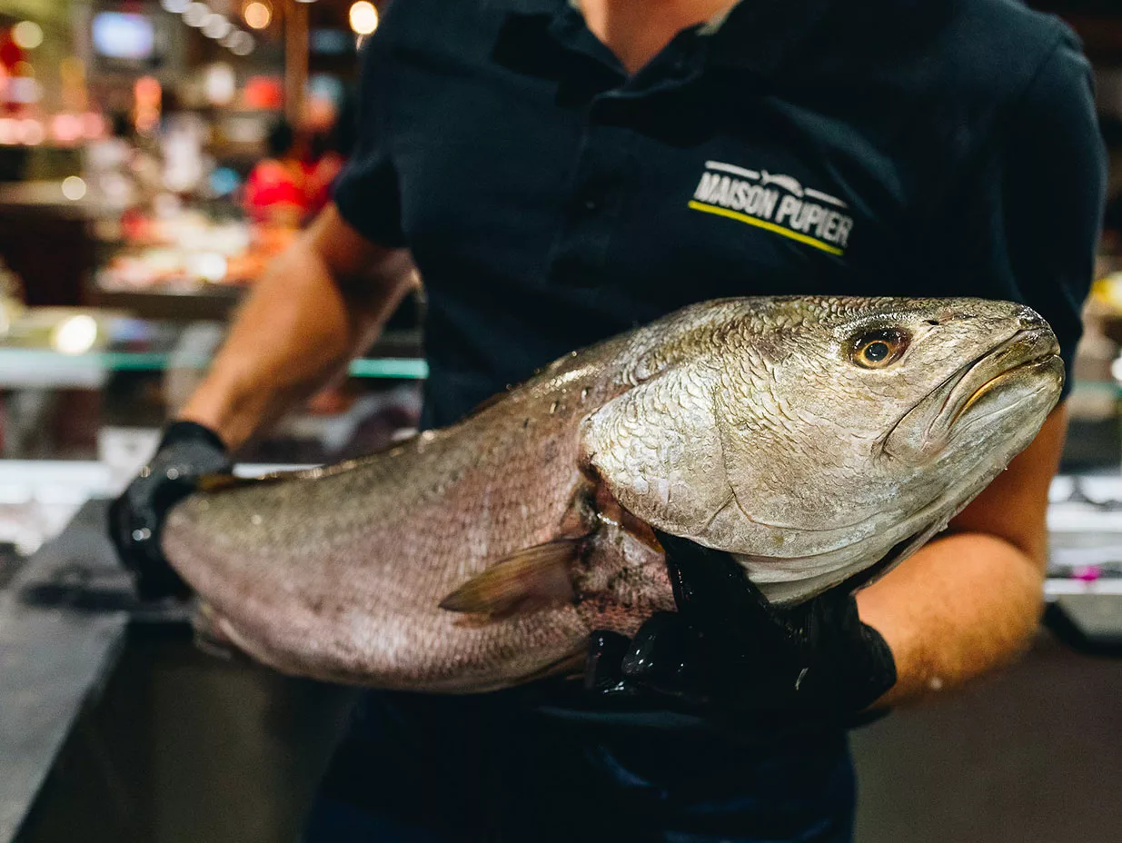 maison-pupier-produit