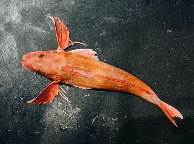 LES-HALLES_homepage-marche